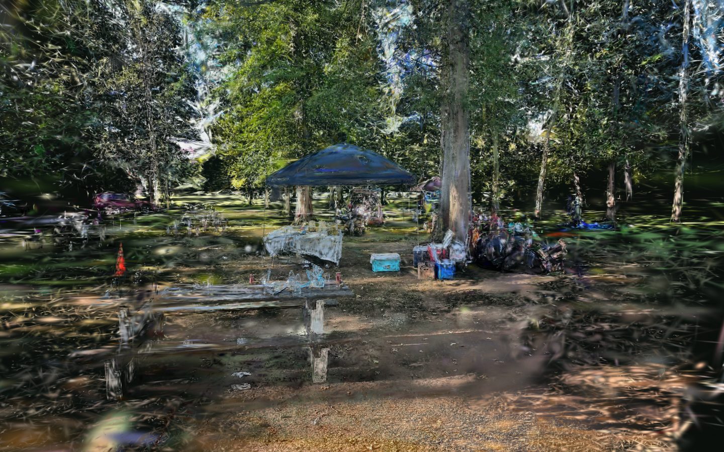 The MMNJ Sports Day ground: a path between tall trees toward a dark gazebo, coolers and a white-clothed table in the sun.