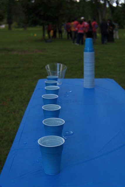 A photo from MMNJ Sports Day, taken at under the near tree.
