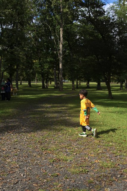 A photo from MMNJ Sports Day, taken at the big oak.